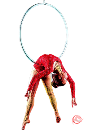 HALF BACK BALANCE LEG HOCKS HANG GAZELLE (3)